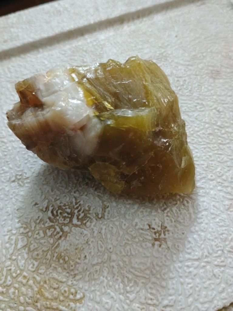 Petrified , Opalized Wood