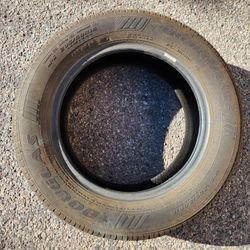 Douglas Tire  MS 205 / 60 R16  H92
