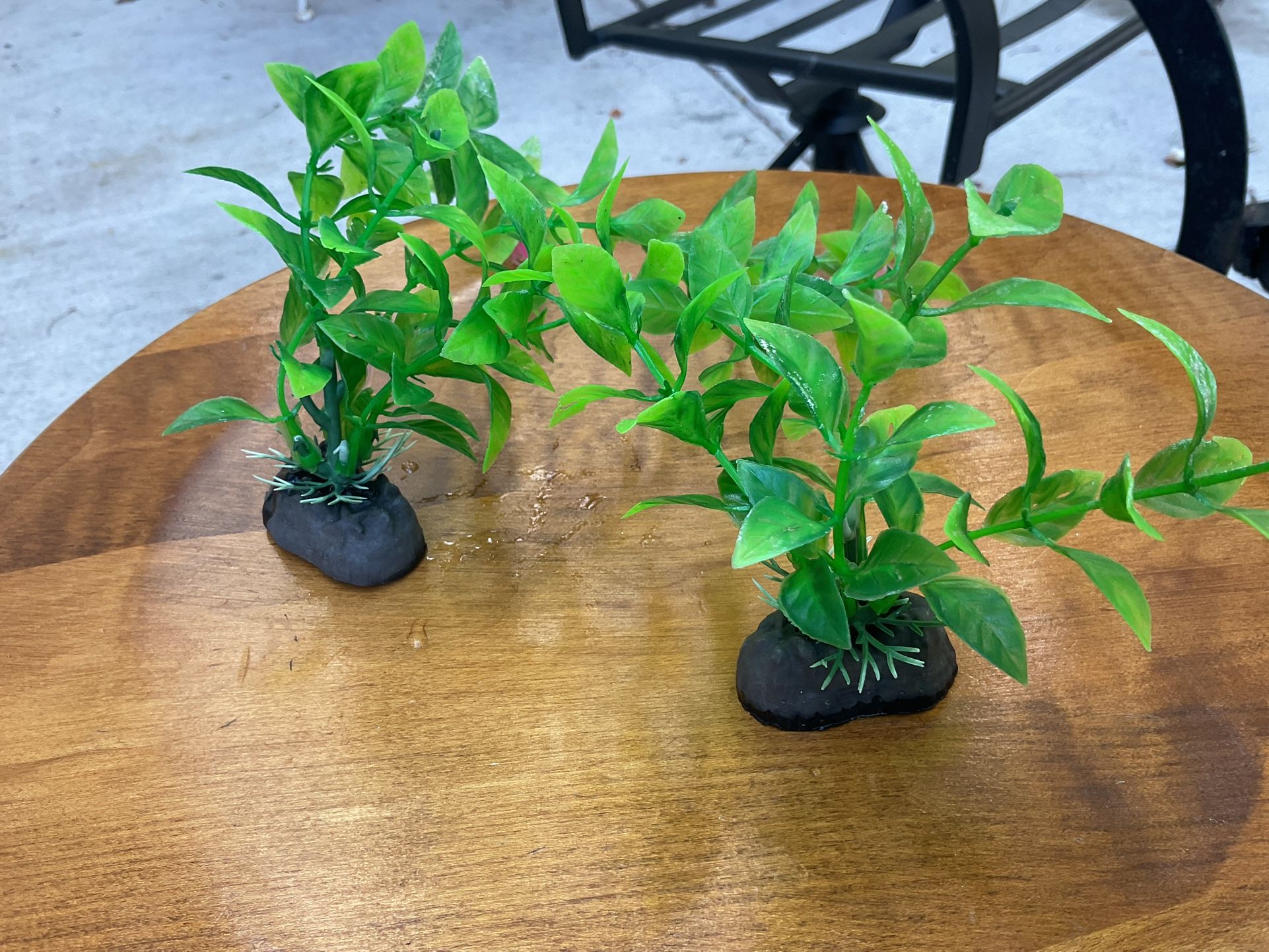 15 Fake Realistic Plants For Aquariums