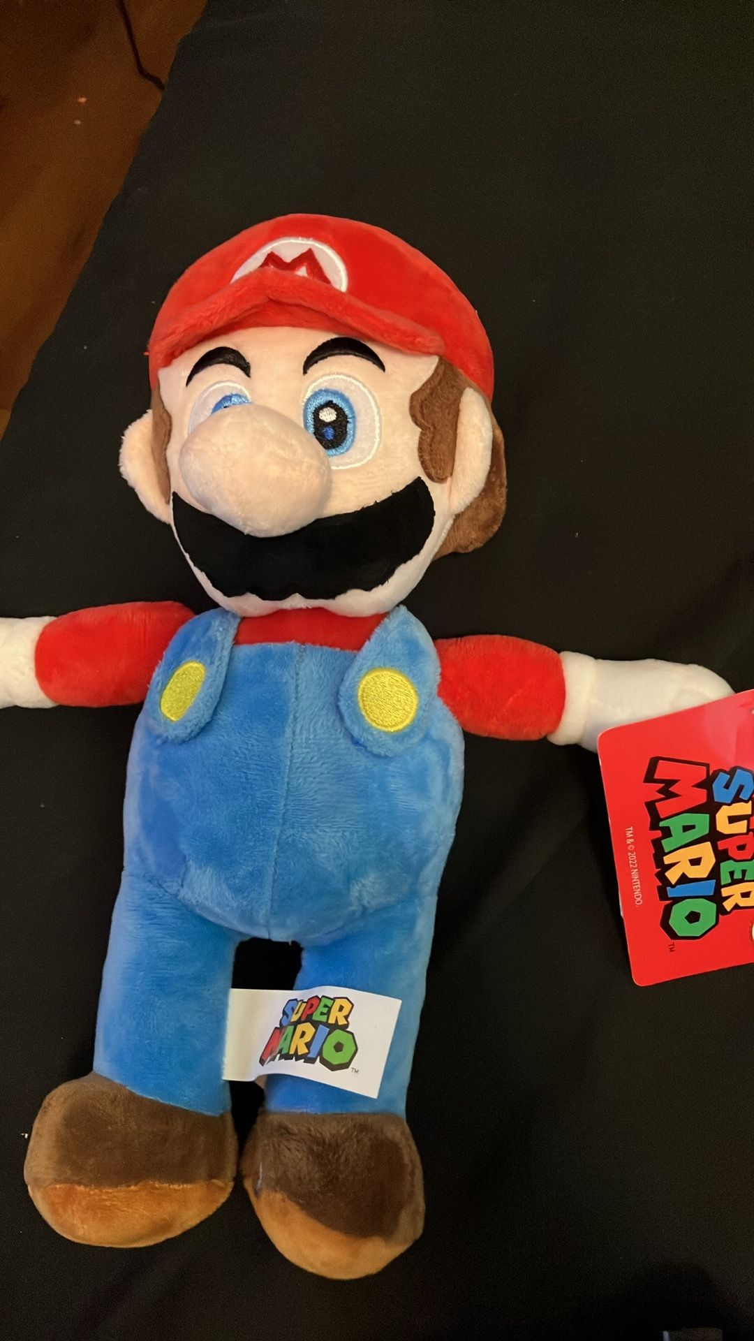 Mario About 9inch Plush