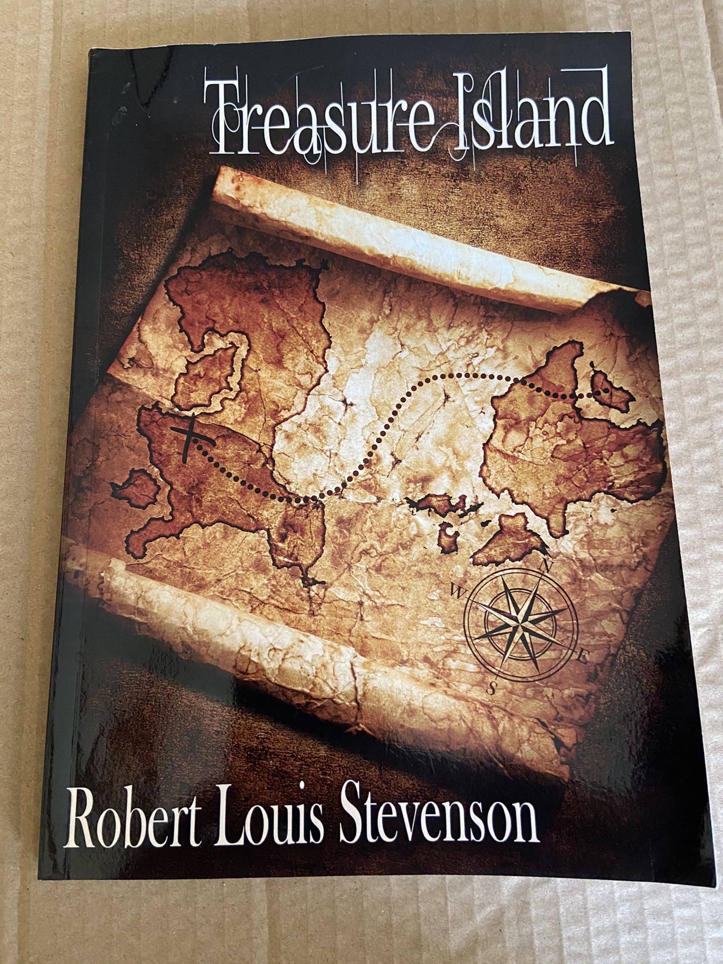 Treasure Island Book By Robert Lewis Stevenson