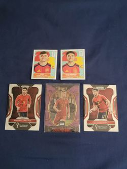 Spain World Cup Champion 2026 Team members
Dani Olmo Purple
Ferran Torres
Aymeric Laporte
Pedri
Martín Zubimendi
