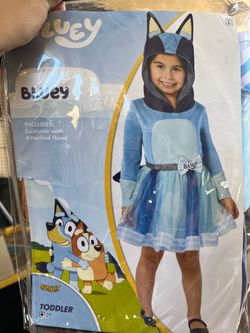 Bluey costume