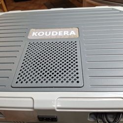 Electric Portable Cooler and Warmer - Heater for Car and Home (24Liters) 