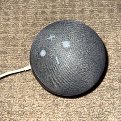 Alexa Speaker