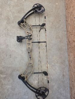 Compound Bow