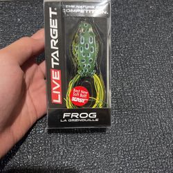 BRAND NEW LIVE TARGET TOPWATER FROG(Check Description) 