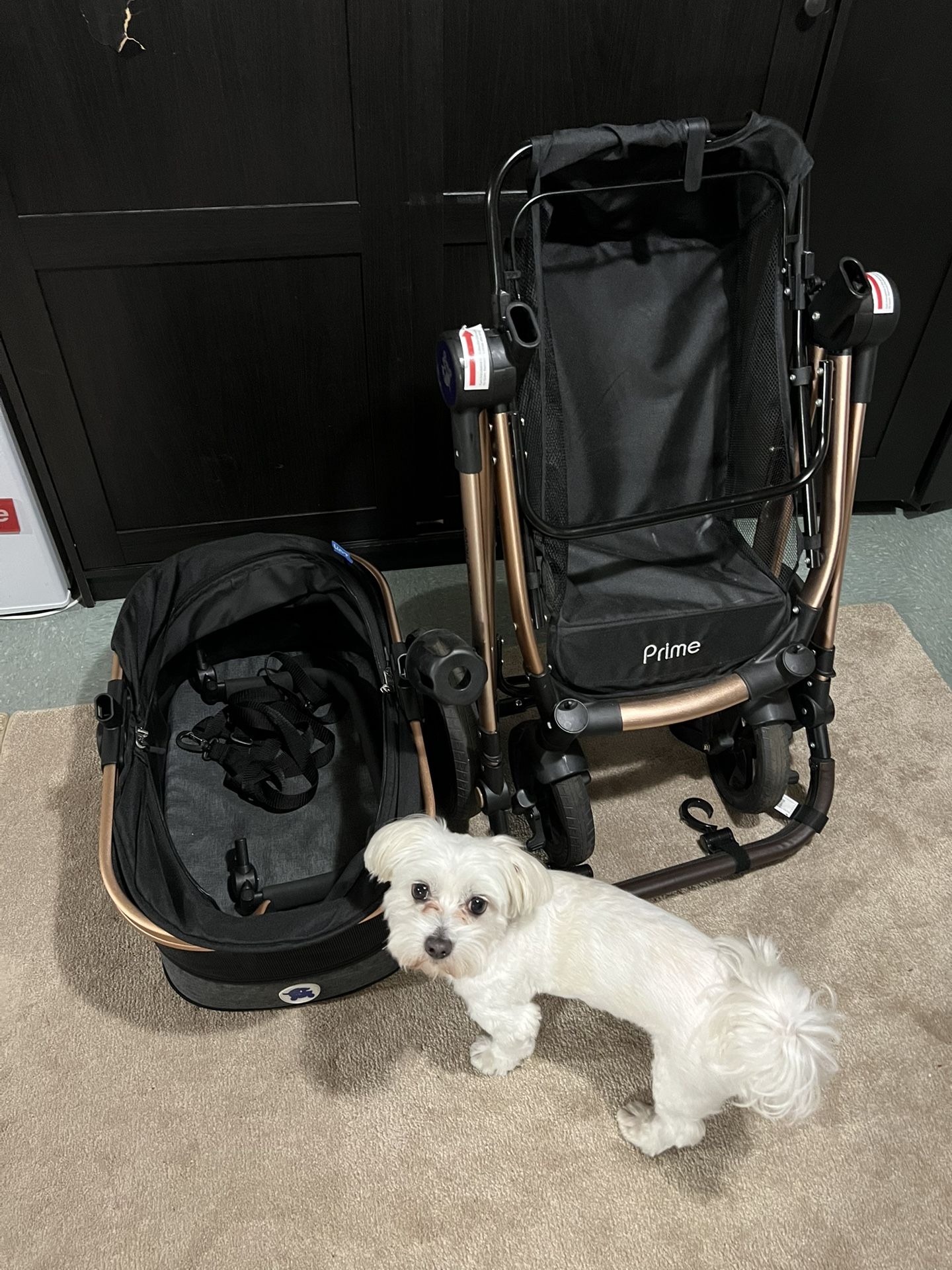 Pet Rover Prime Luxury 3 In 1 Stroller