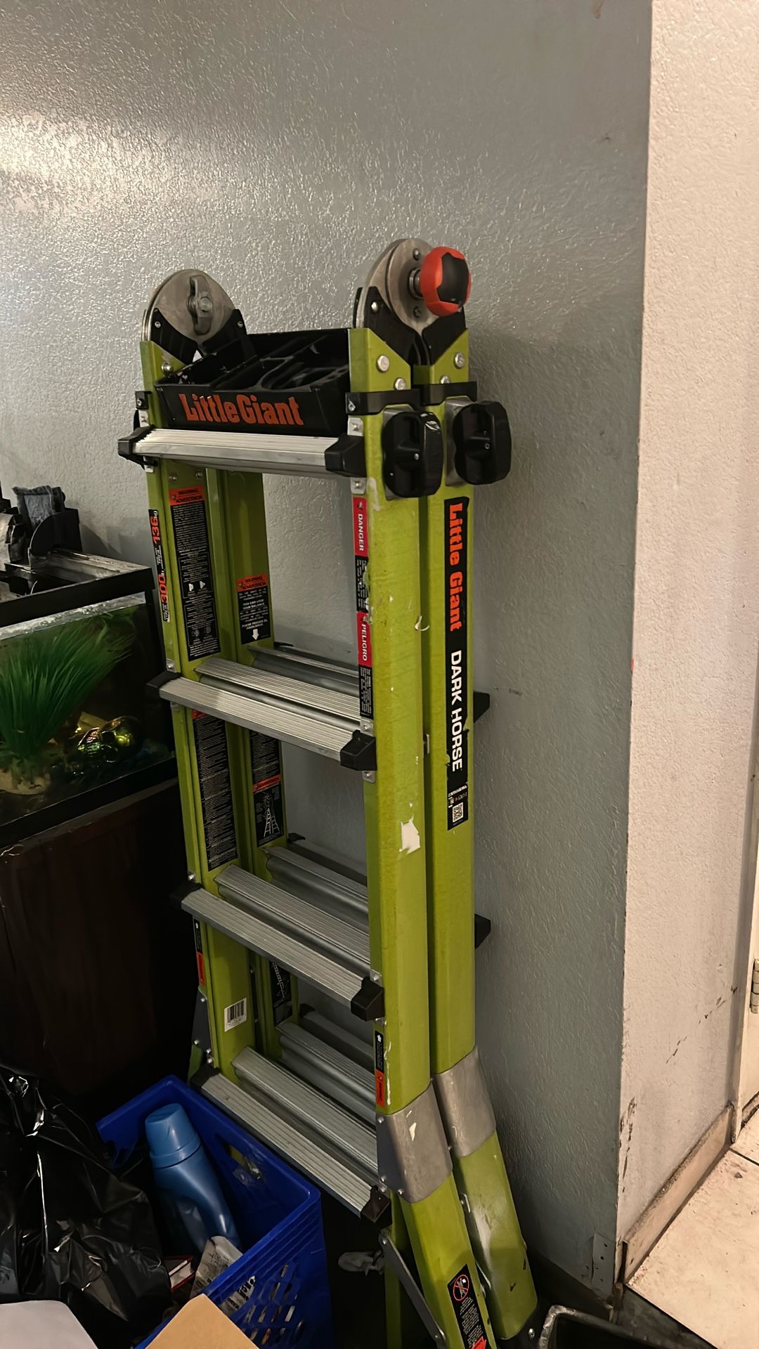 Little Giant Ladder