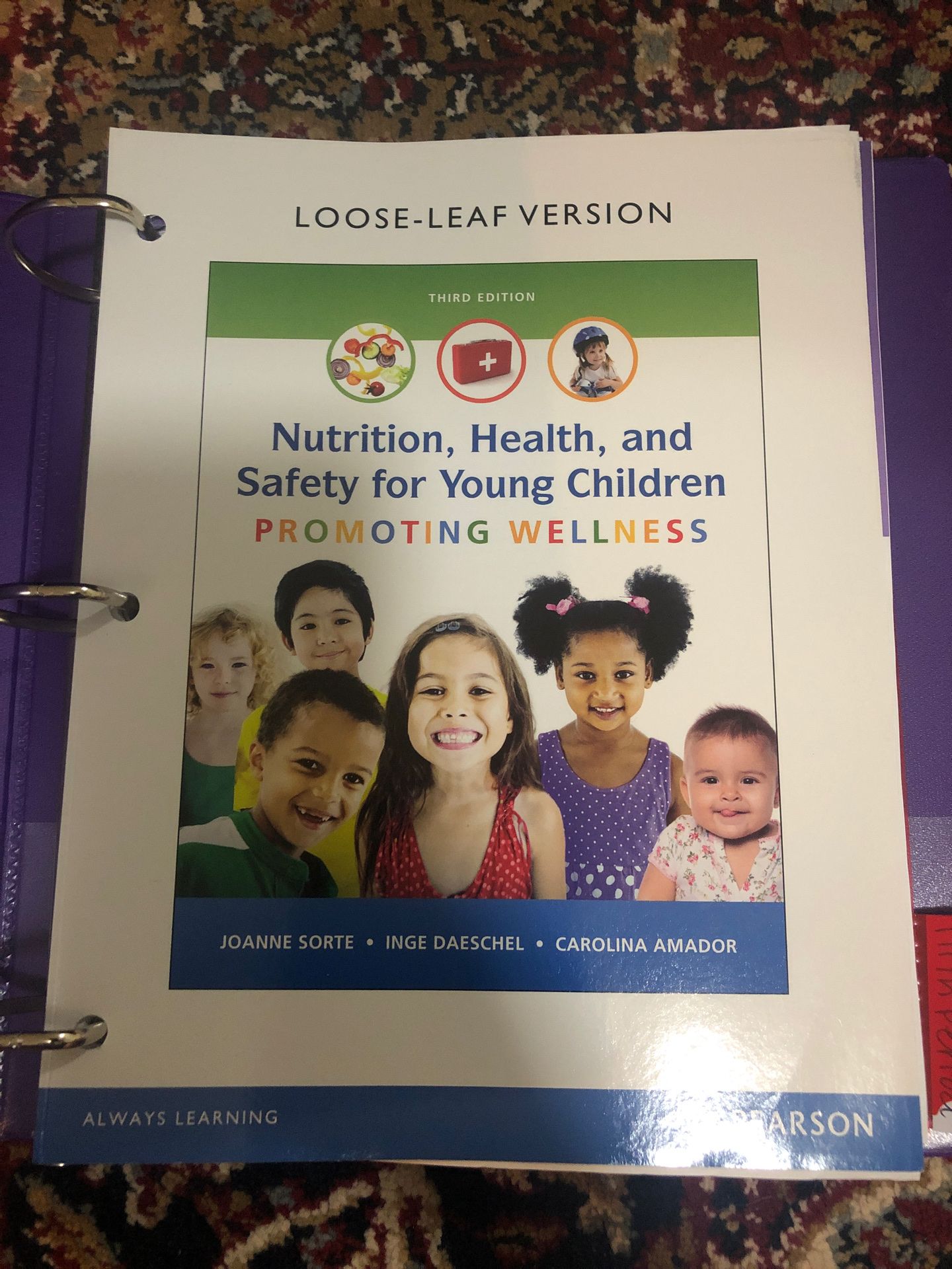 Nutrition, Health and Safety For Young Children Textbook