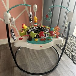 Fisher-Price Baby Bouncer