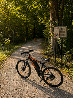 (PICK UPS ONLY) ANCHEER Electric Bike for Adults,