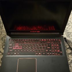 Acer Predator Helios 300 Gaming Laptop i7 8750H GTX1060 Parts/Repair