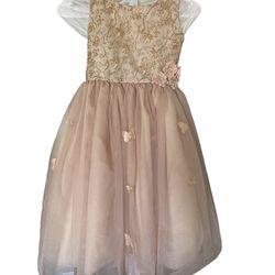 Little Girls Party Dress And Shoes 