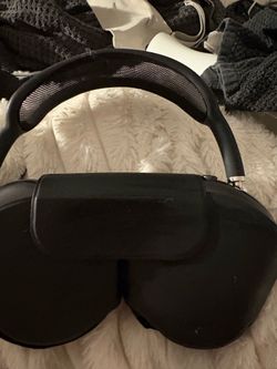 Apple max headphones