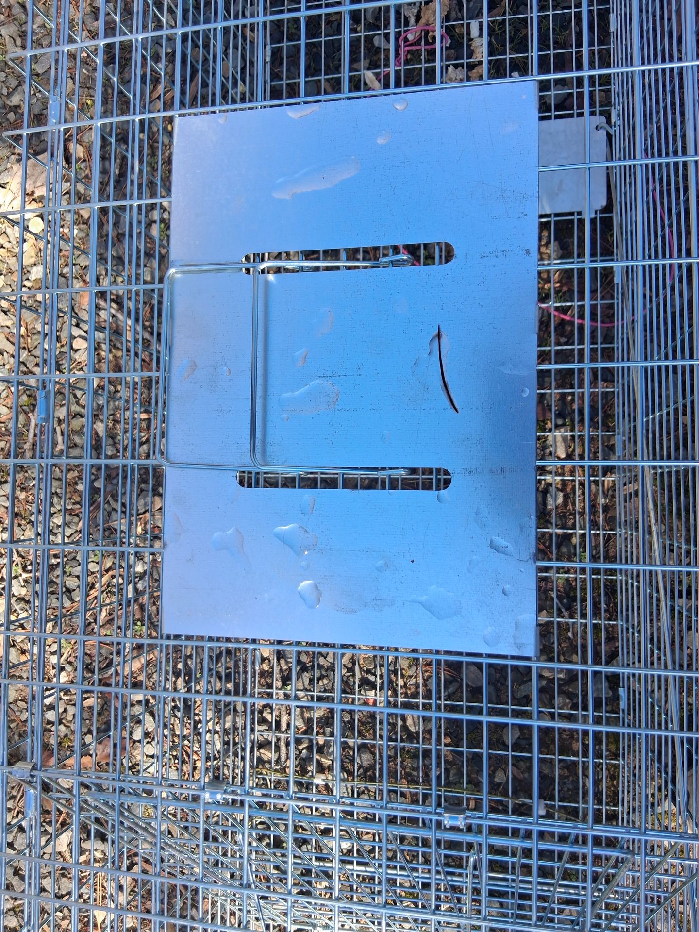 Large animal trip cage