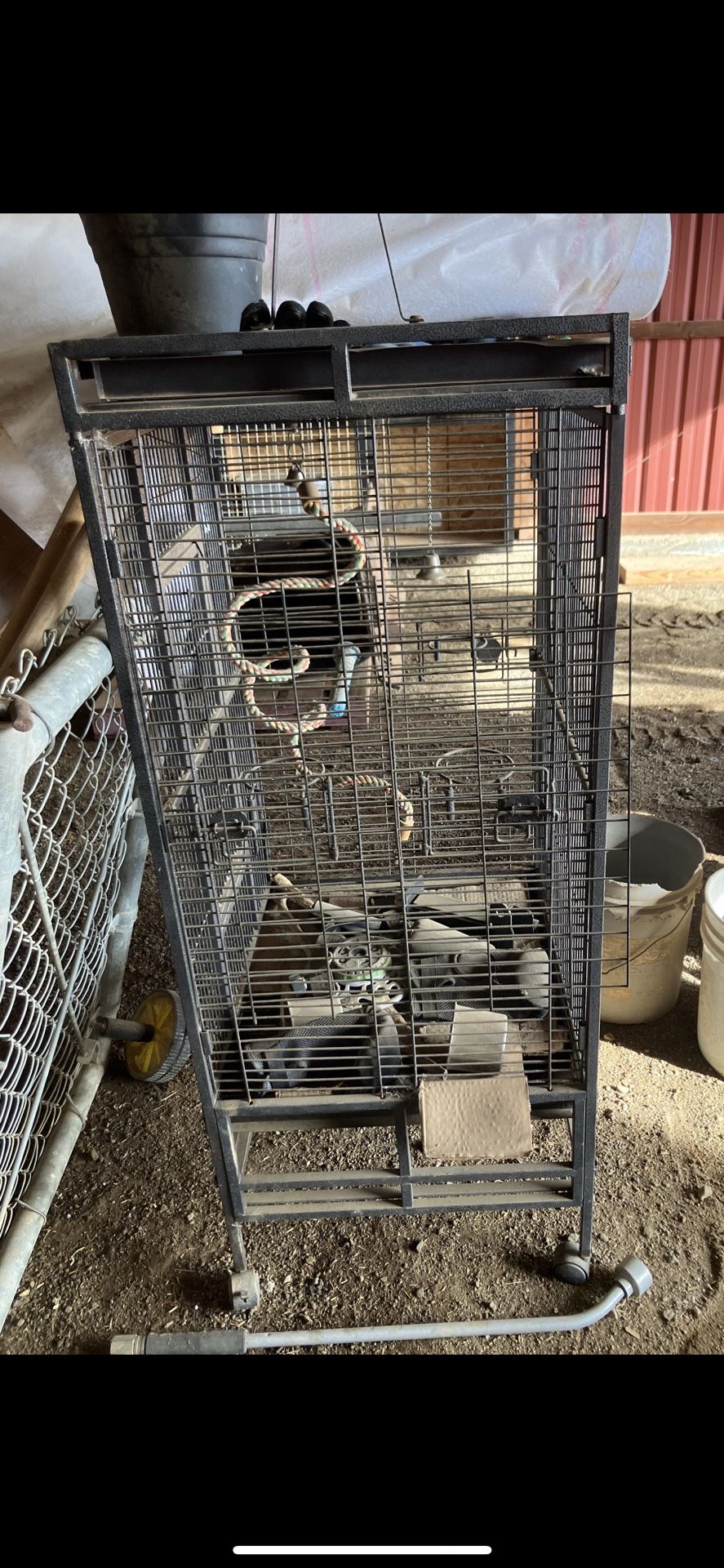 Bird Cage