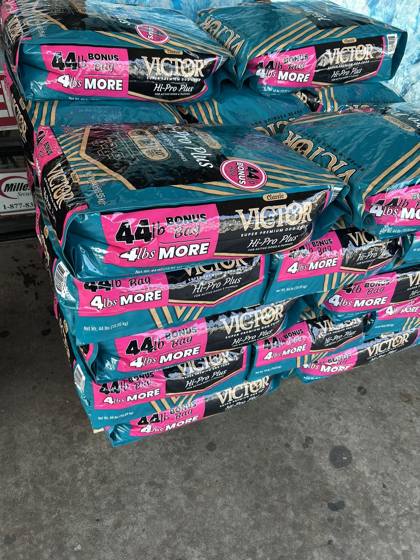 Victor Dog Food 44 Pounds Bonus!!