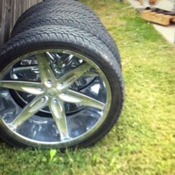 Niche “Old Sokool” 24”