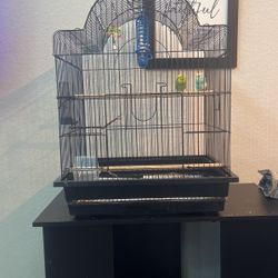 Bird Cage