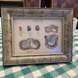 Vintage Cultured Pearl Display