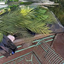 Artifial greenery brand new