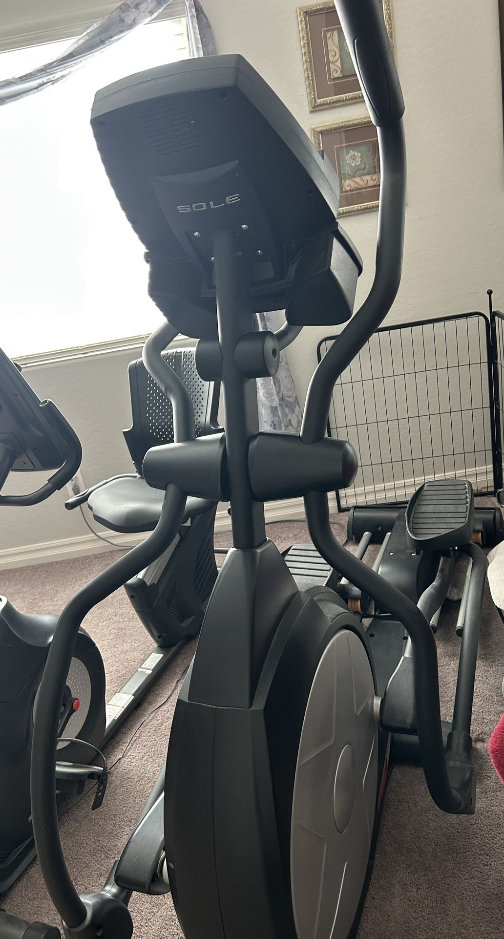 Gently And Rarely Used Sole elliptical