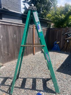 6 Foot Ladder