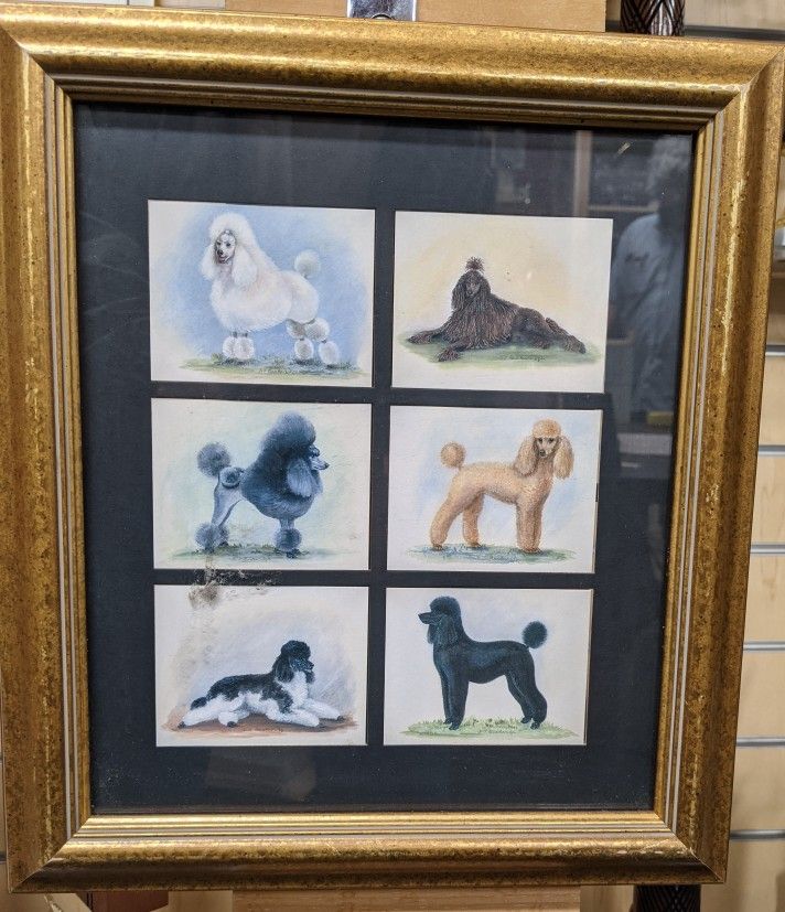 Imperial Dog Collection Of Six Cards Framed