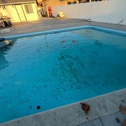 Swimming Pool Parts