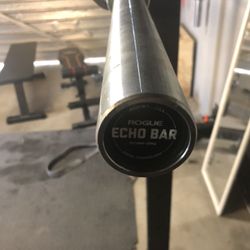 Rogue Echo Bar 2.0