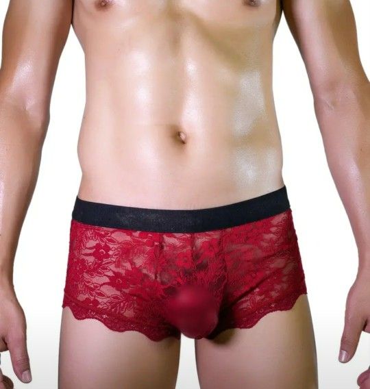 Men's Sexy Lace Sheer Breathable Quick Drying Boxer Brief