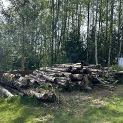 Firewood $200 all
