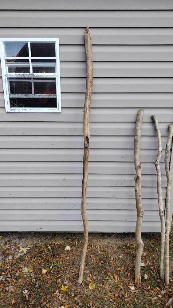 Walking Stick Wood
