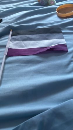 Asexual pride flag