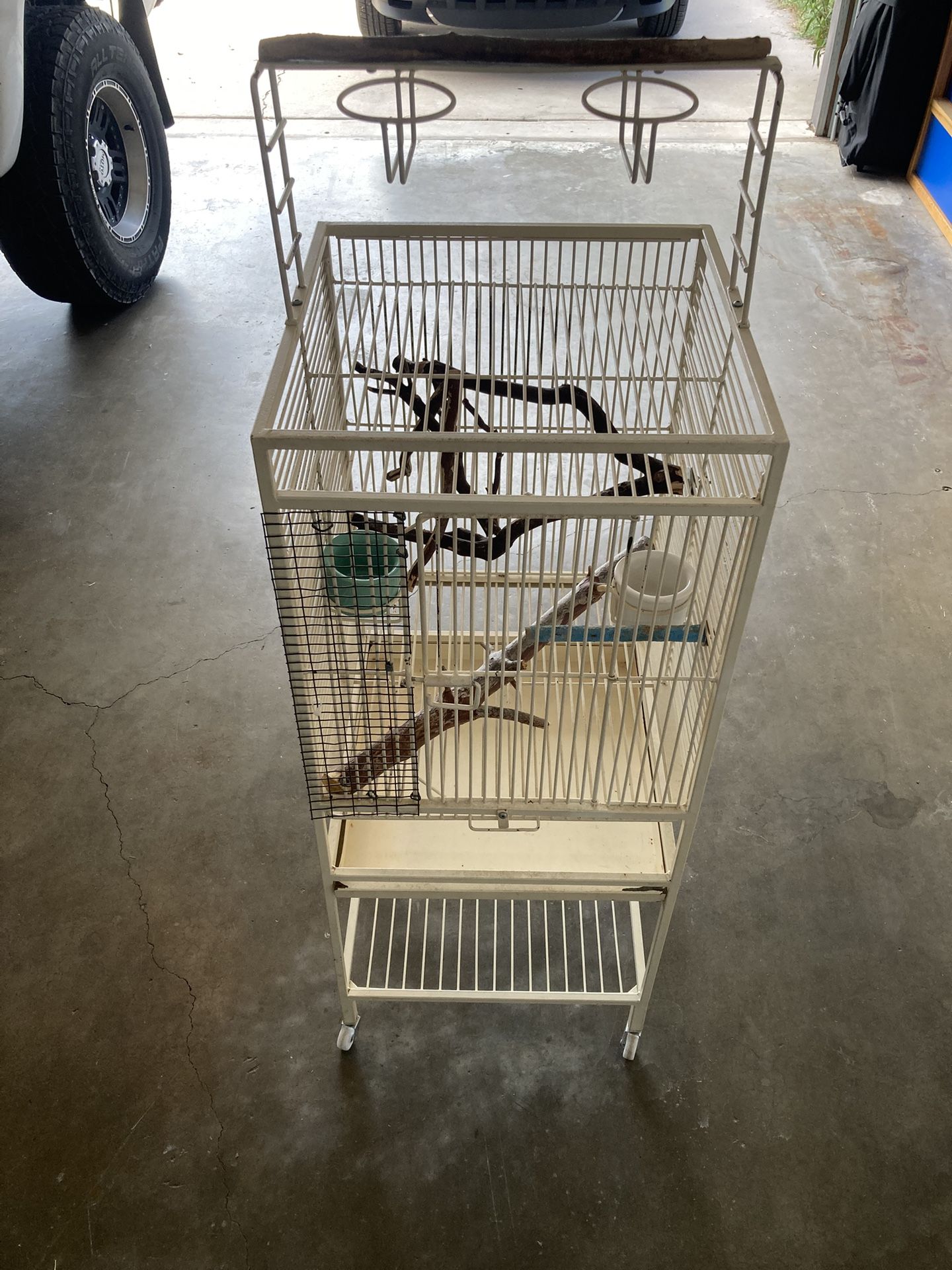 Bird Cage