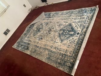 Surya Area Rug