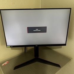 LG 27” Monitor 