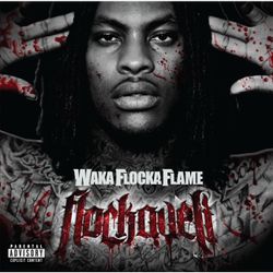 Waka Flocka Flame Flockaveli cd 