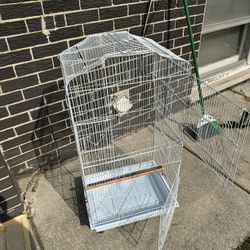 Bird Cage 