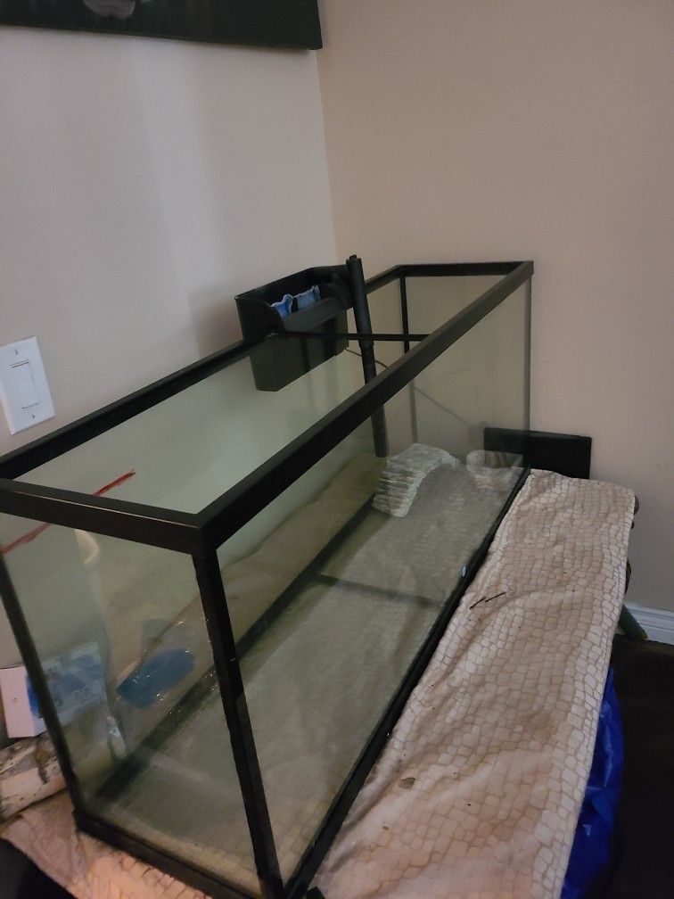 Fish Tank