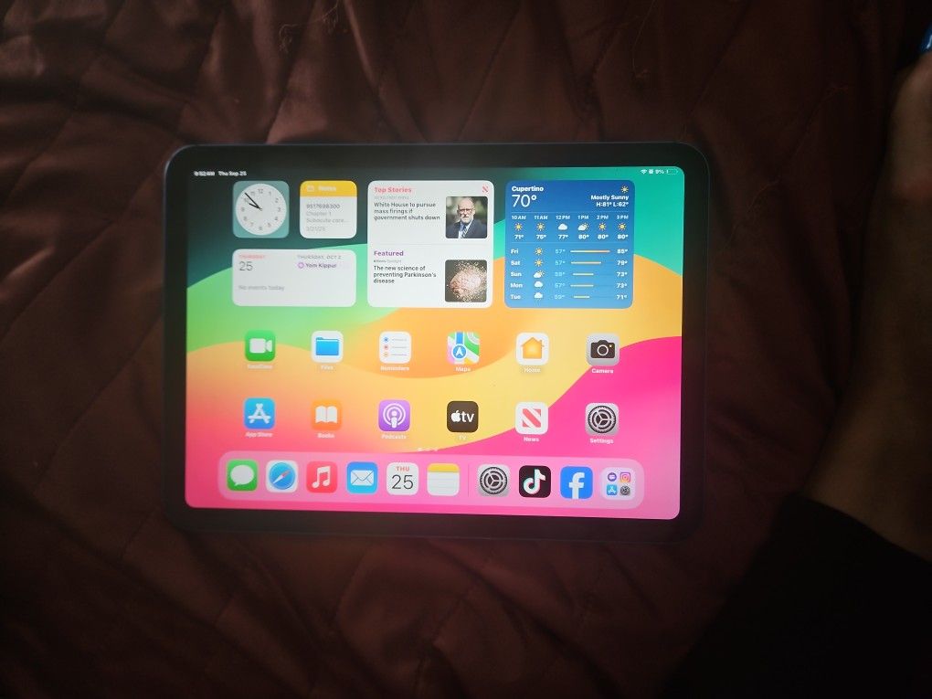 Apple Ipad