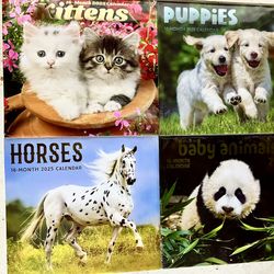 Adorable Animal 2025 Calendar Bundle – Kittens, Puppies, Horses & Baby Animals