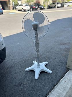 Fan
