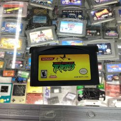 Teenage Mutant Ninja Turtles GBA