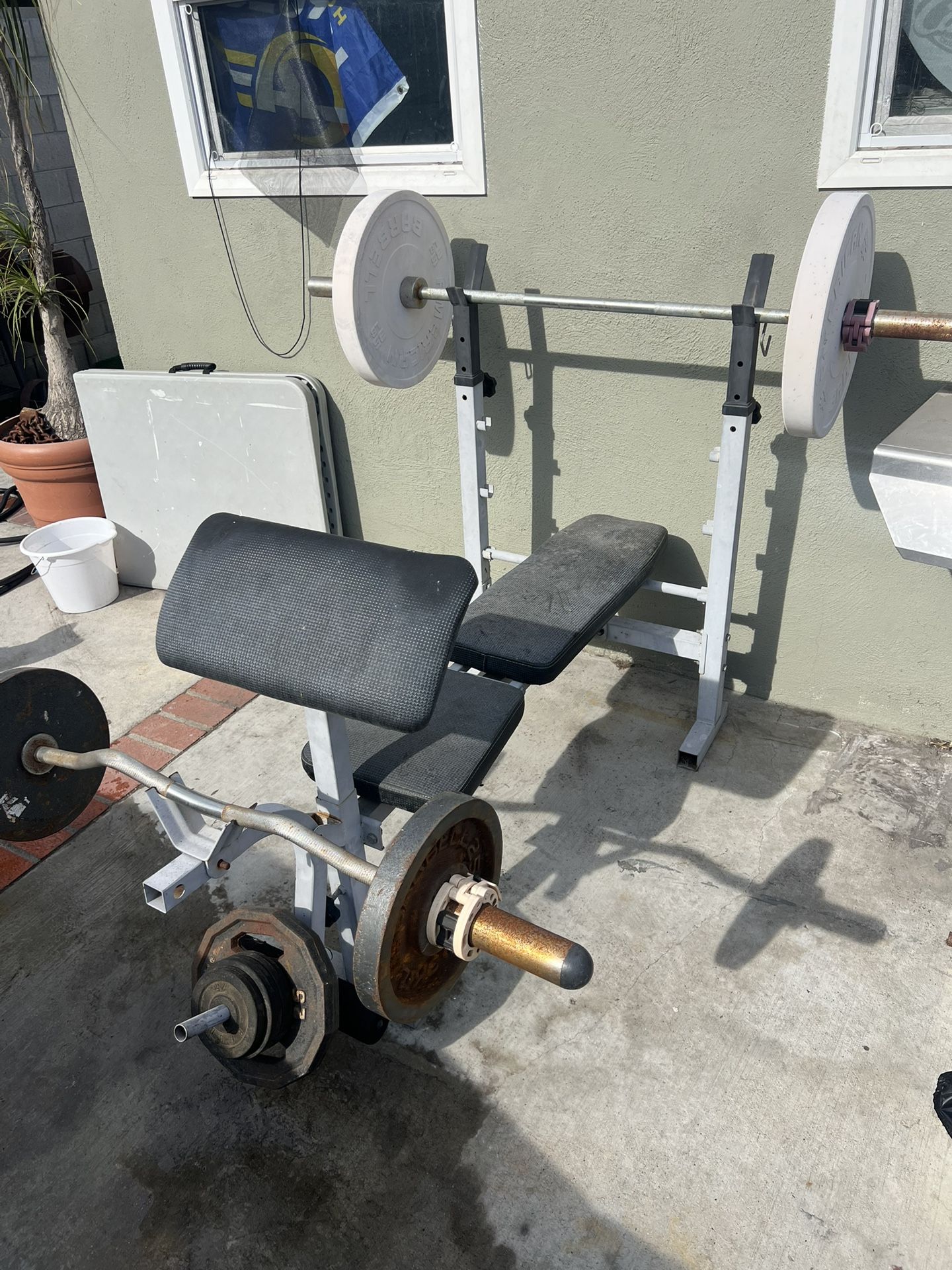 Bench Press