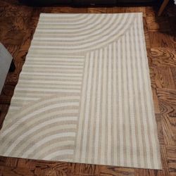 Brand new 4 x 5 stain resistant indoor outdoor area rug. 