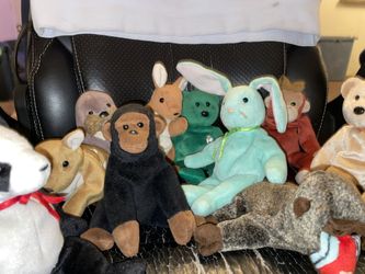 Beanie Babies