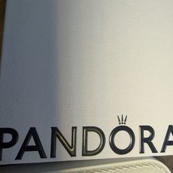 Small Pandora Bracelet 