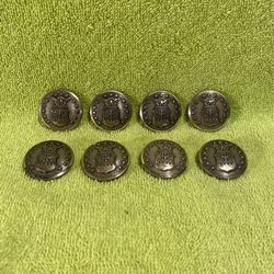 8 Waterbury 13 Star Eagle Buttons.